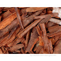 Cinnamon Bark P. E. Support for Blood Sugar Metabolism